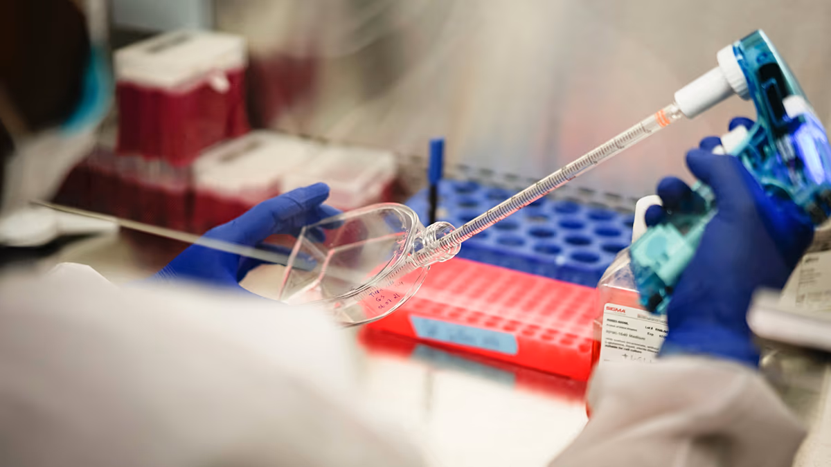 New single-dose gonorrhoea drug could be breakthrough for antibiotic-resistant infections