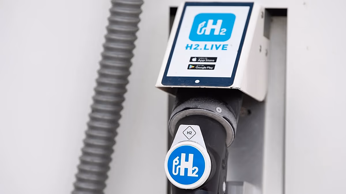 EU hydrogen market hampered by costly production and uncertainty, energy regulators say