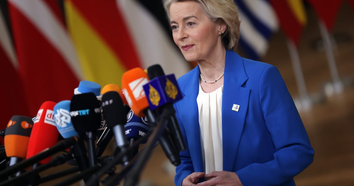Mercosur signing delayed until January, von der Leyen tells leaders – POLITICO