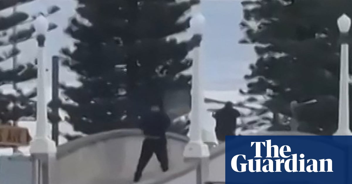 Bondi beach terror attack: father and son duo alleged to be behind shooting using licensed firearms | Bondi beach terror attack