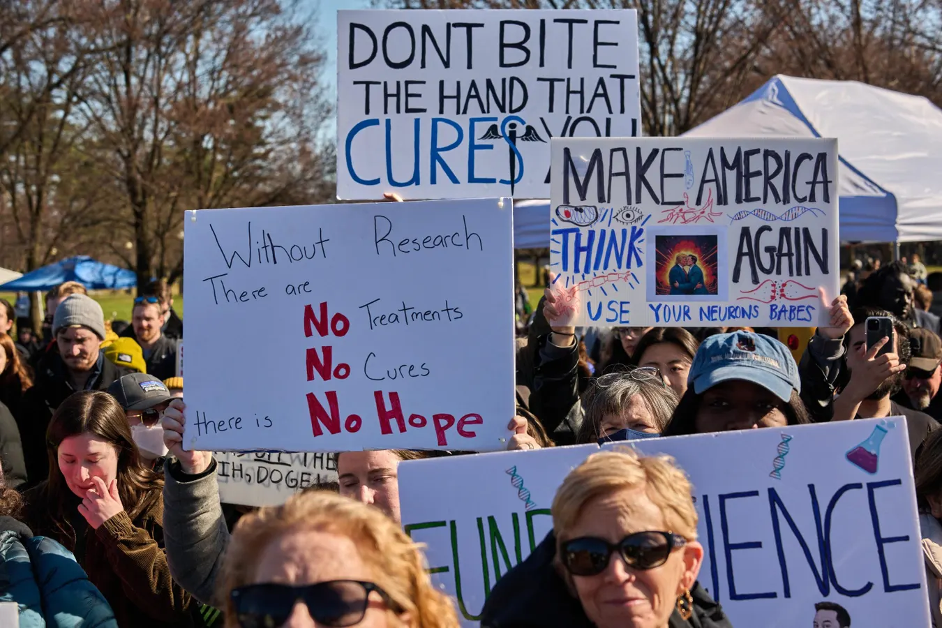 NIH Awarded 22% Fewer Grants In 2025, A 24% Drop In Cancer Research