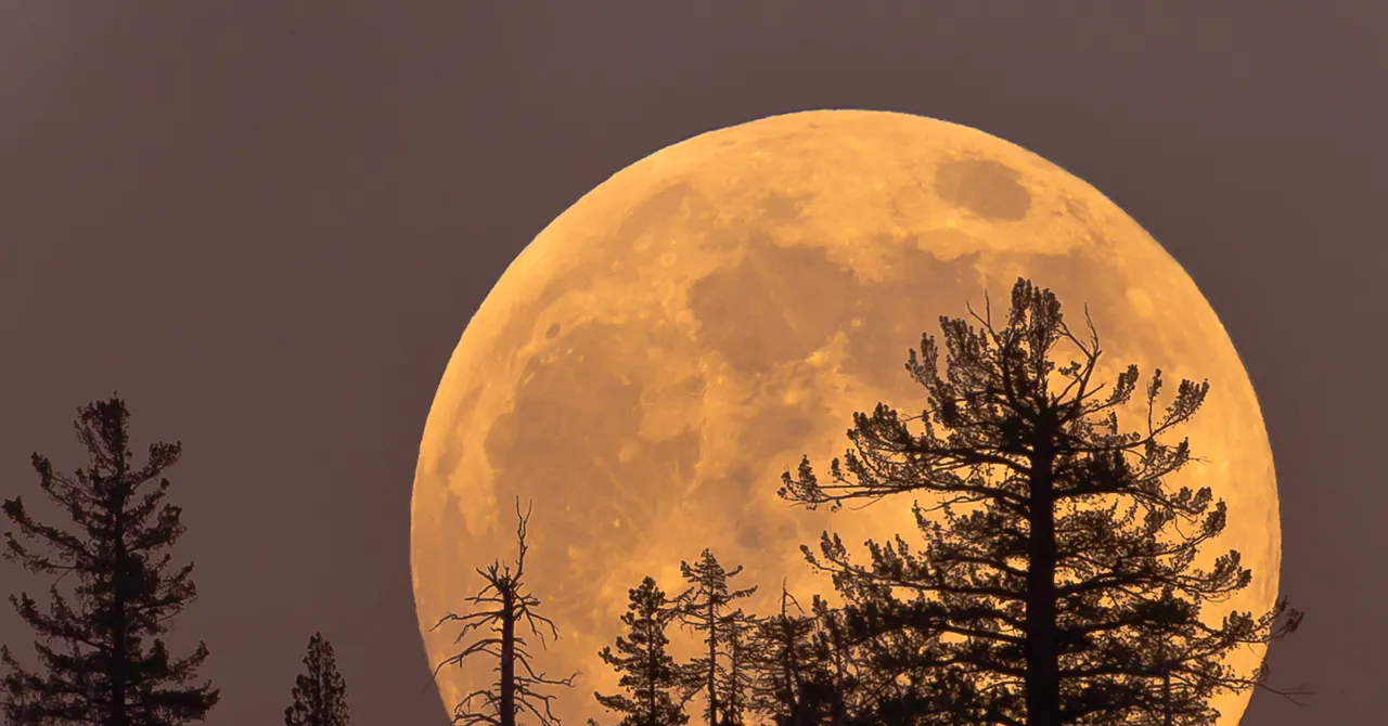 Thursday’s Cold Moon Is the Last Supermoon of the Year. Here’s How and When to View It