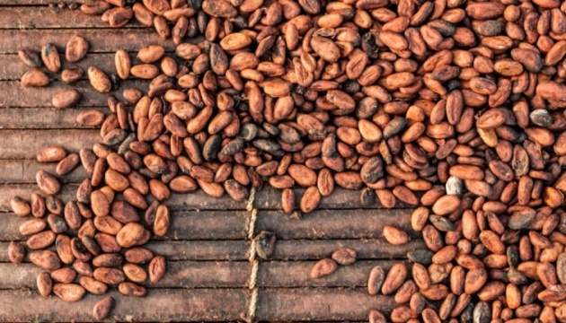Cocoa prices rise amid reduced surplus expectations
