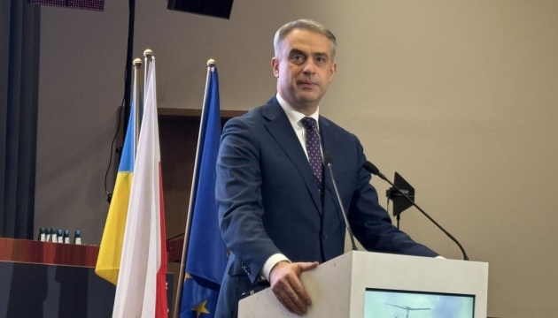 Poland effectively combating anti-Ukrainian disinformation, Deputy PM says