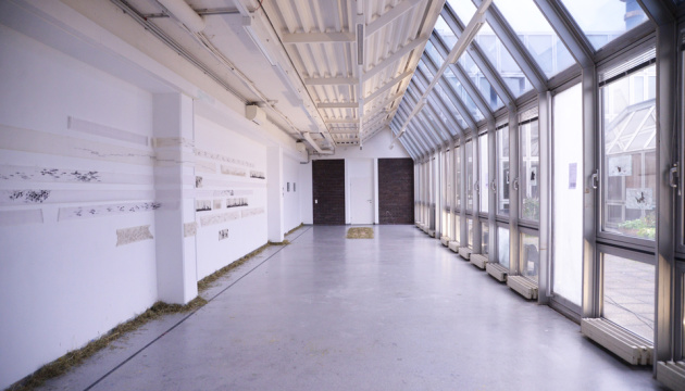 Ukraine to inspect 50 more educational institutions amid surge in students aged 25+