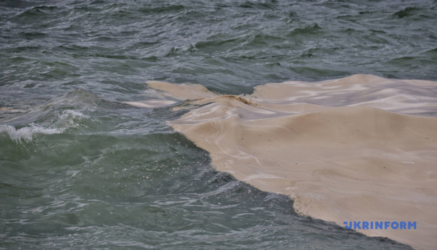 Russian strikes on port of Odesa cause oil spill in Black Sea, killing birds