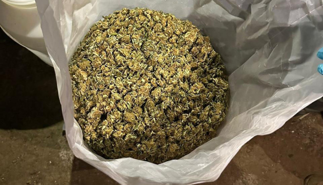 Drug dealers in Ternopil region have UAH 9M worth of cannabis seized