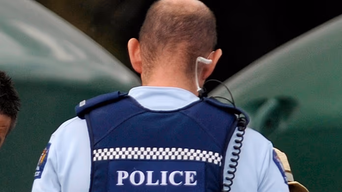 New Zealand man in custody after swallowing stolen €18,000 Fabergé diamond pendant