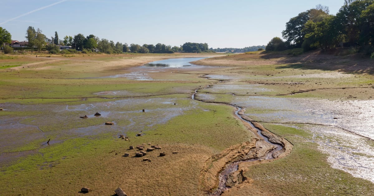 un nouveau concept pour contrer le backlash écologique par la droite – POLITICO