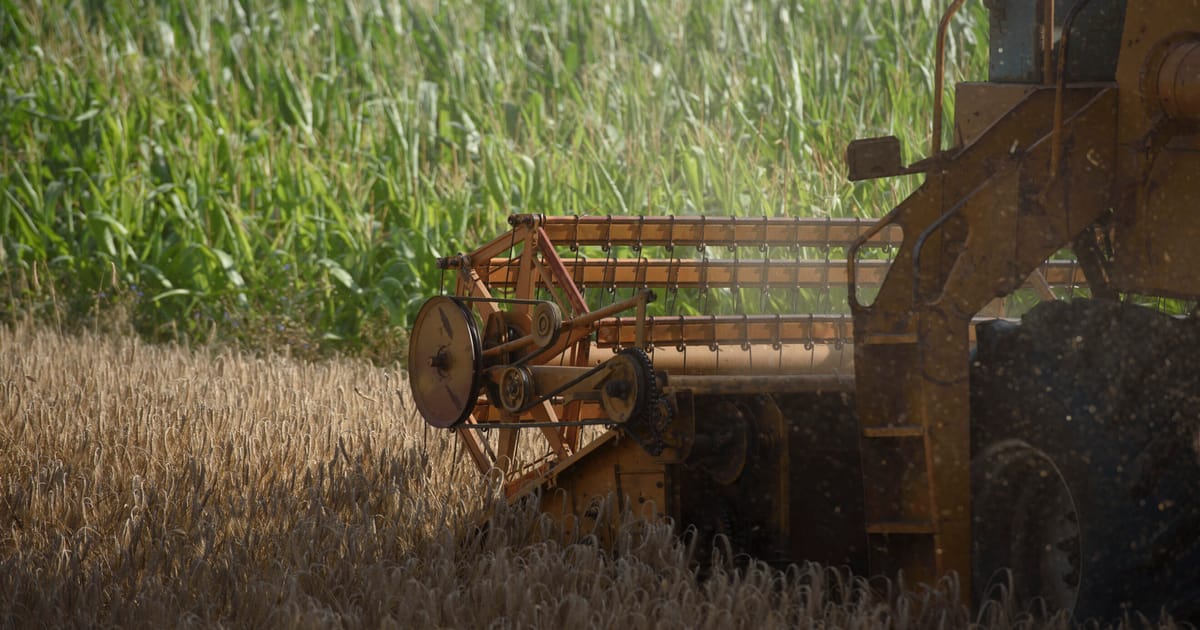 EU paves way for more designer plants – POLITICO