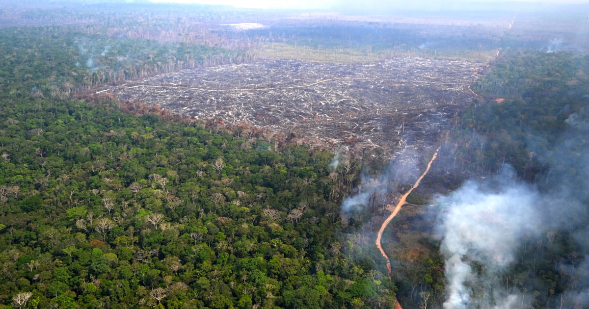 Europe’s simplification mess frustrates businesses – POLITICO