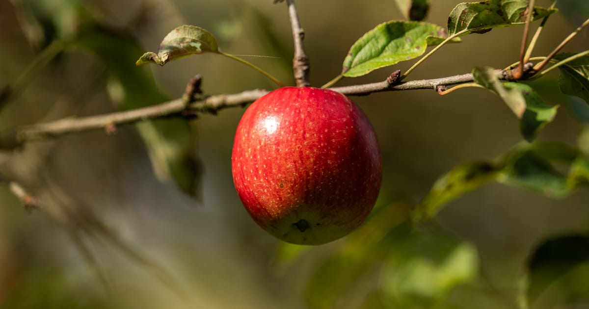 How the EU’s stack of health files was a big win for industry – POLITICO