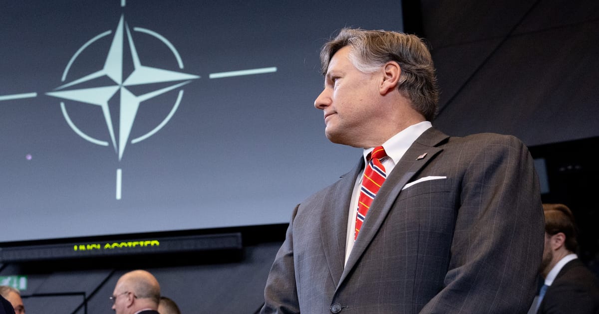 Top US official says EU regulation ‘undermines’ NATO ties – POLITICO