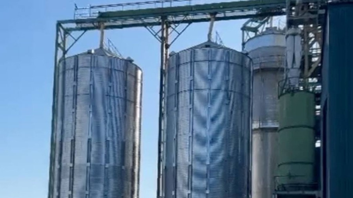 Fuel excise hike may not affect Ukrainian prices due to falling global oil quotations – A-95 director