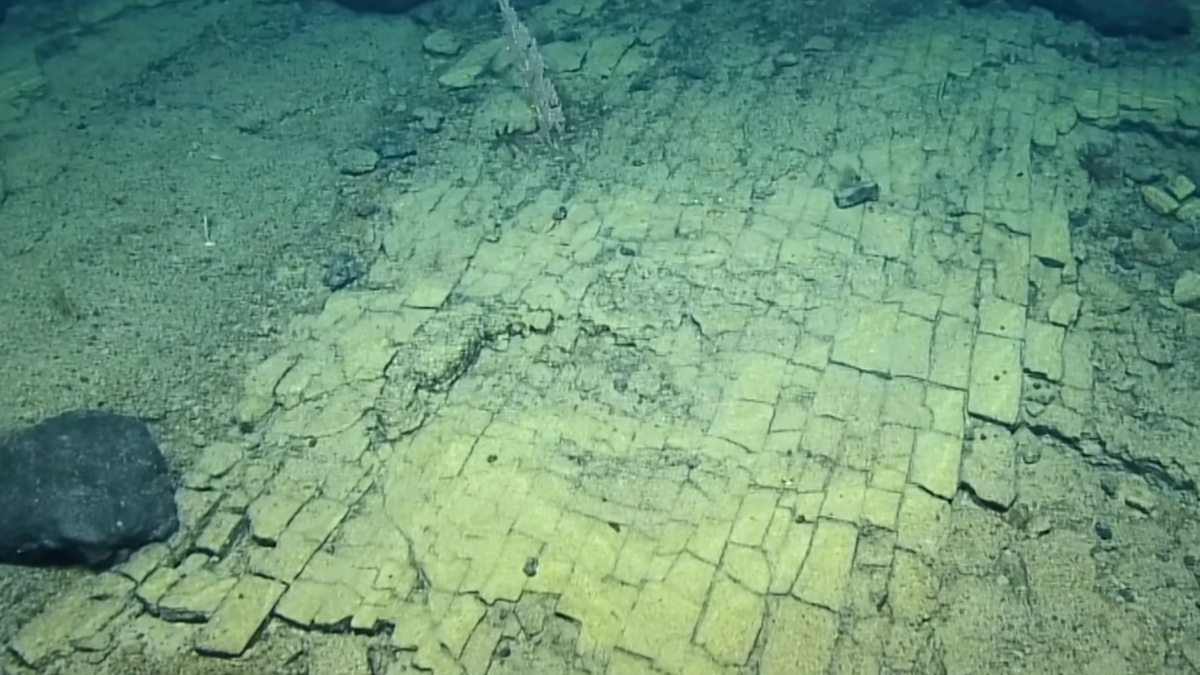 Scientists Found a ‘Yellow Brick Road’ at The Bottom of The Ocean : ScienceAlert
