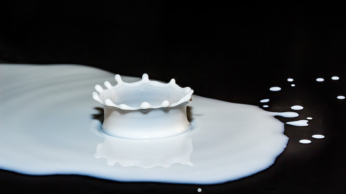 Dairy farms cutting milk production due to lower purchase prices