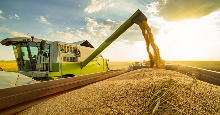 In 2024, the Ukrainian organic sector demonstrated a recovery in its export capacity.