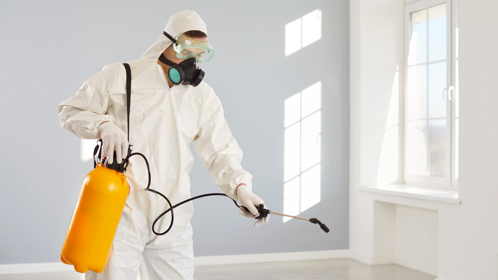 11 Common Cancer-Causing Chemicals And Substances In The Environment