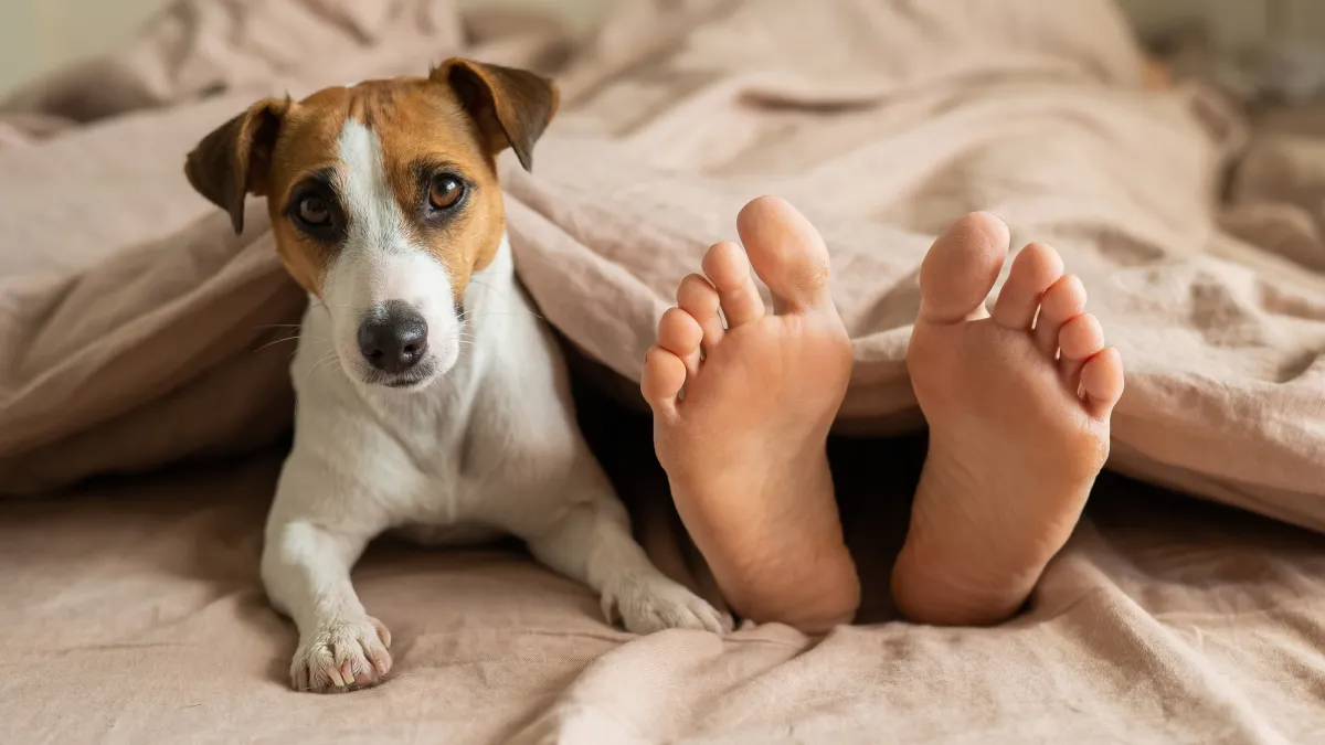 Would my dog or cat really eat me if I died alone?