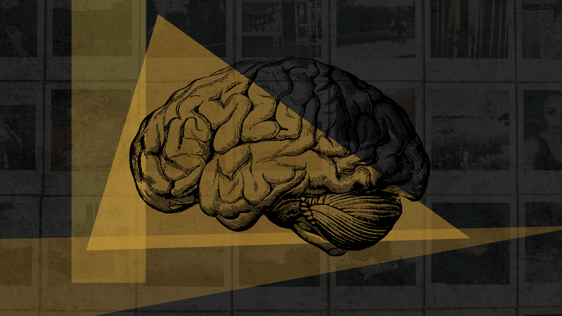 How memory works (and doesn’t) — Harvard Gazette