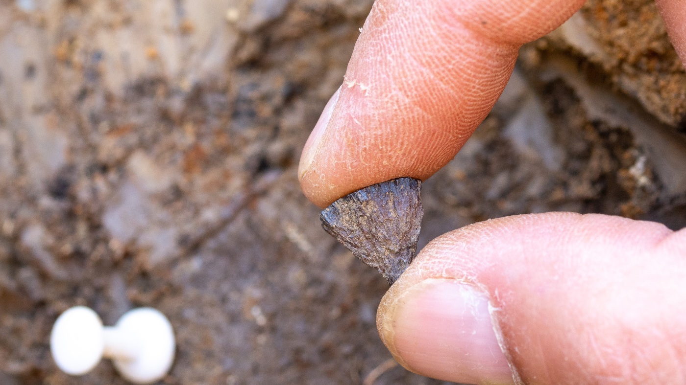 When did humans start making fires? A new study finds the earliest evidence yet : NPR