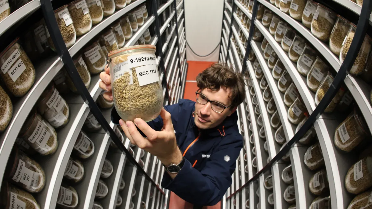 The seed vaults that could save humanity