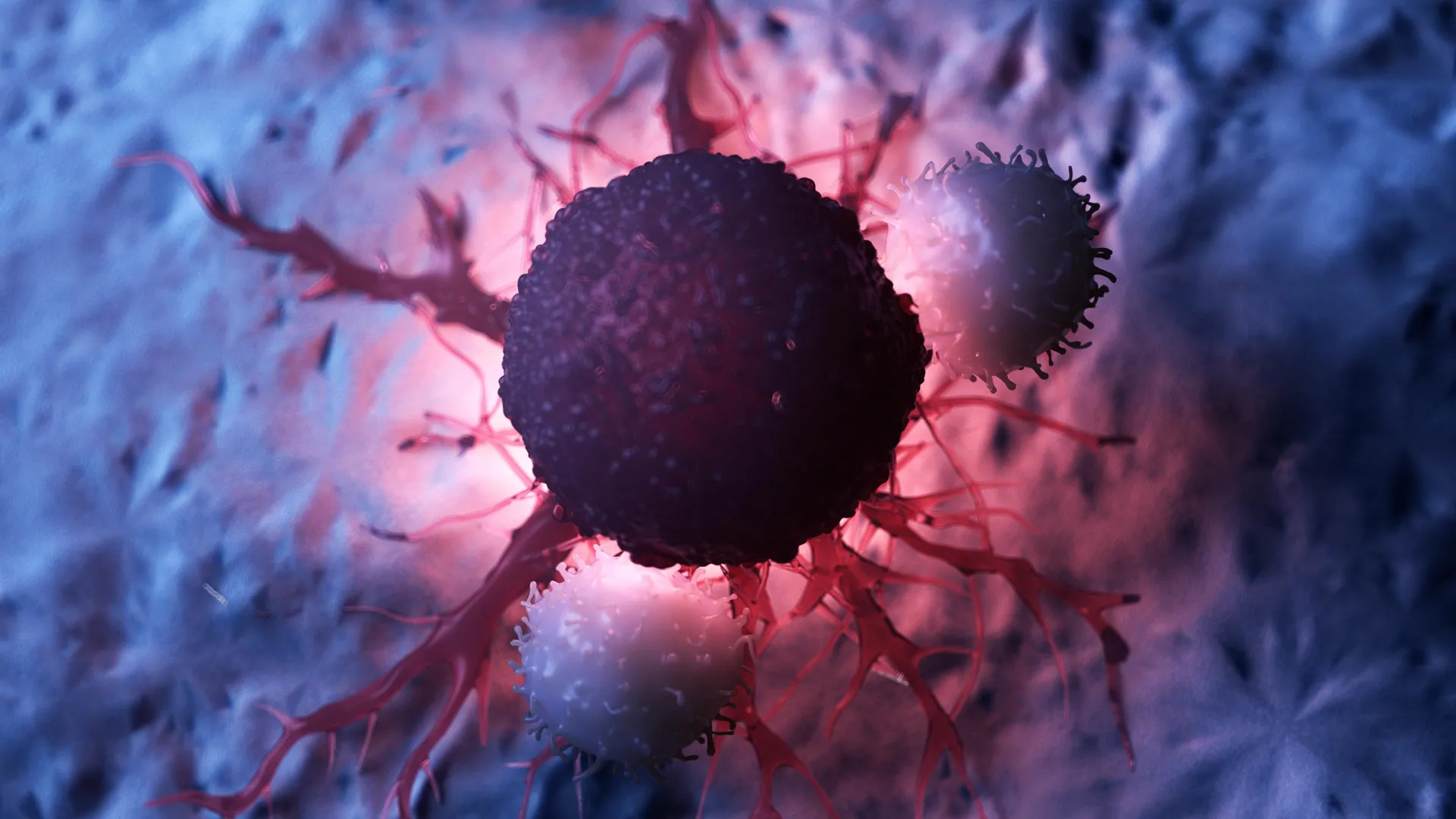 Low dose melanoma treatment delivers dramatically better results