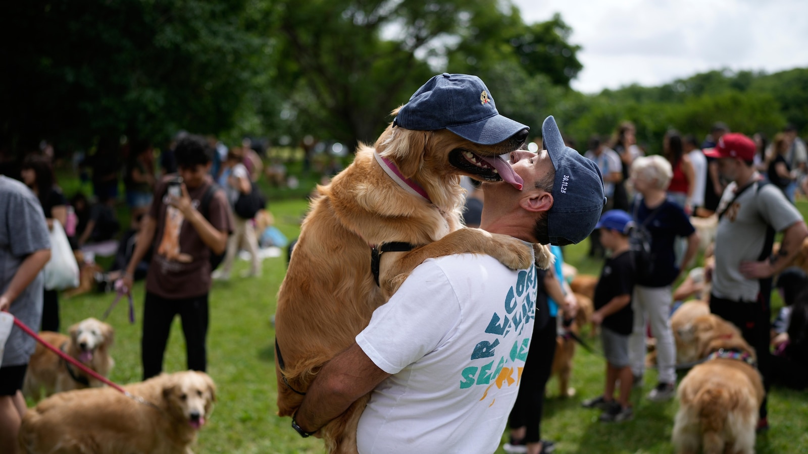 A symphony of woofs: 2,397 golden retrievers gather in Argentina park