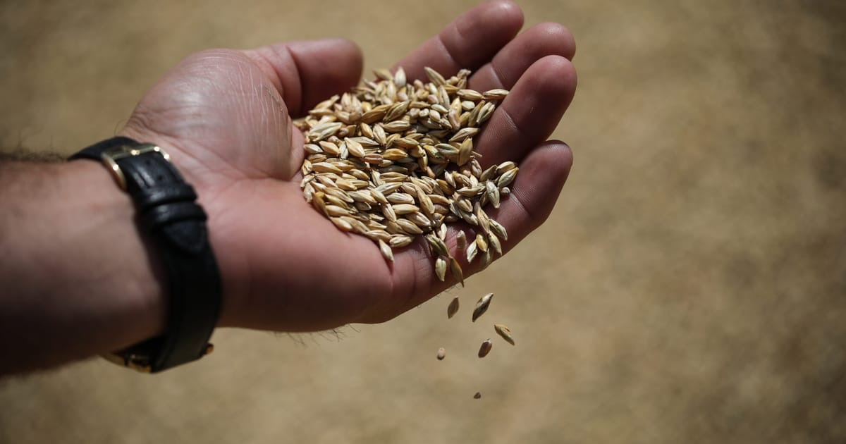 12 EU countries ask Brussels to exempt fertilizers from carbon border tax – POLITICO