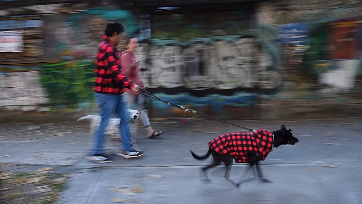 Earthquake with a preliminary magnitude of 6.5 rattles southern and central Mexico