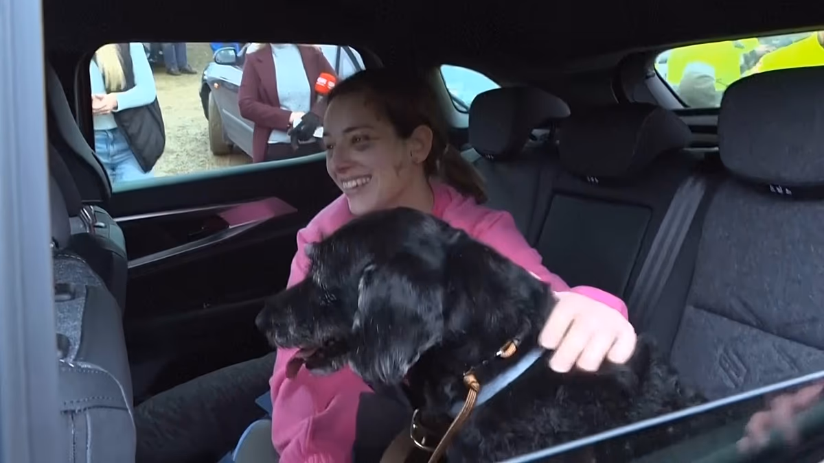 Video. Lost and found: Missing dog Boro found safe after Spanish train crash