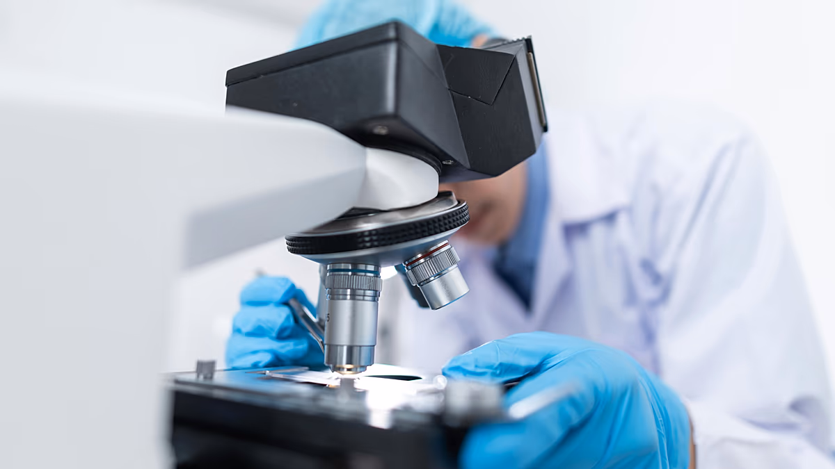 The superbug ‘Candida auris’ identified for the first time in Portugal