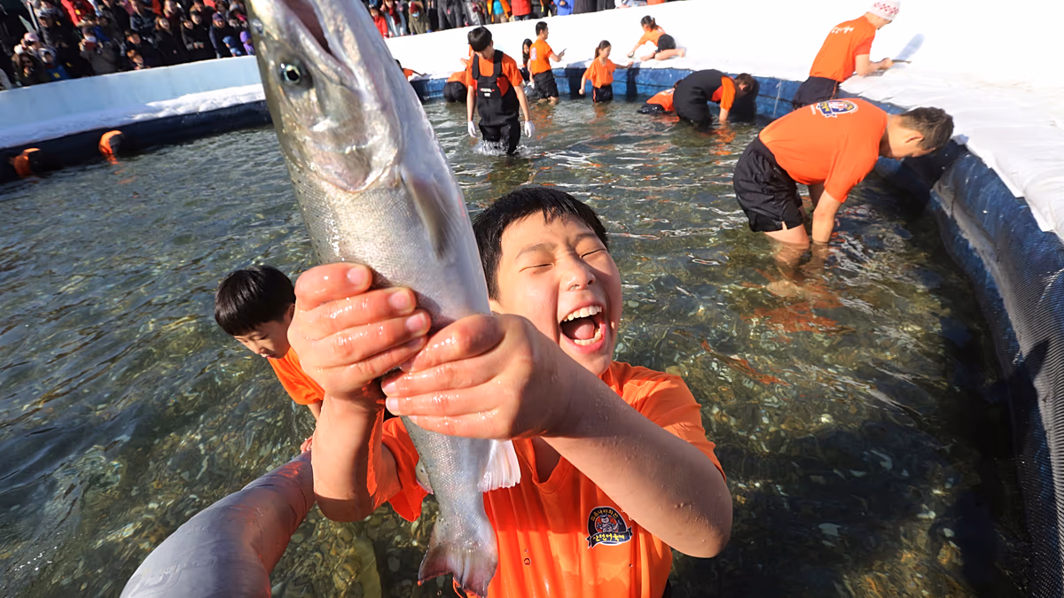 Video. Thousands attend South Korea’s Sancheoneo Festival for icy trout fishing