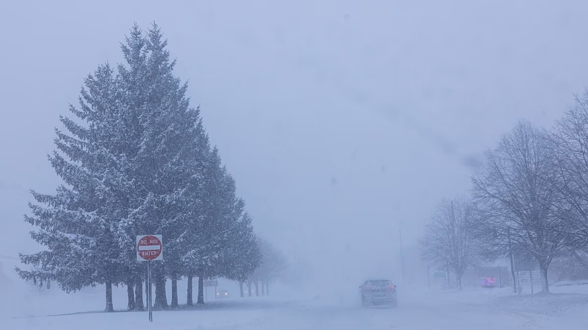 ‘Exceptionally cold’: How a warming Arctic is pushing the US and Eastern Europe into a deep freeze