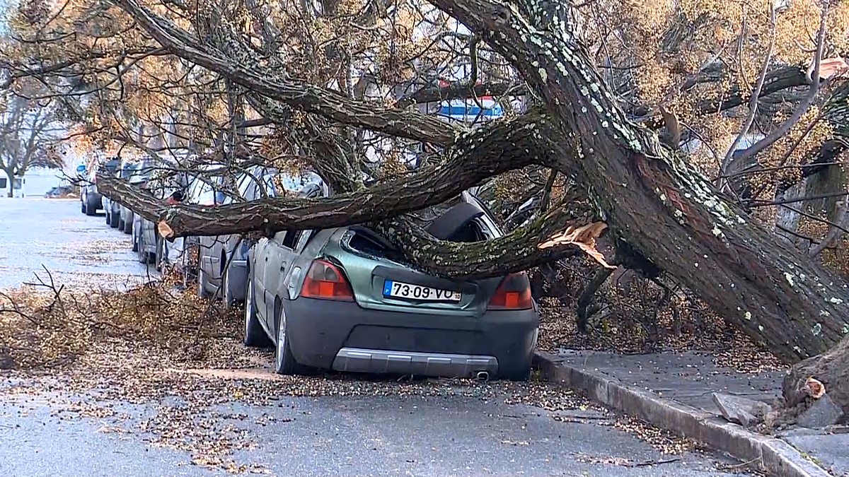 Video. Storm Kristin kills two in Portugal, causes widespread damage and power cuts