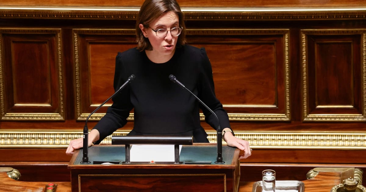 French minister opens door to pushing through budget without parliamentary vote – POLITICO
