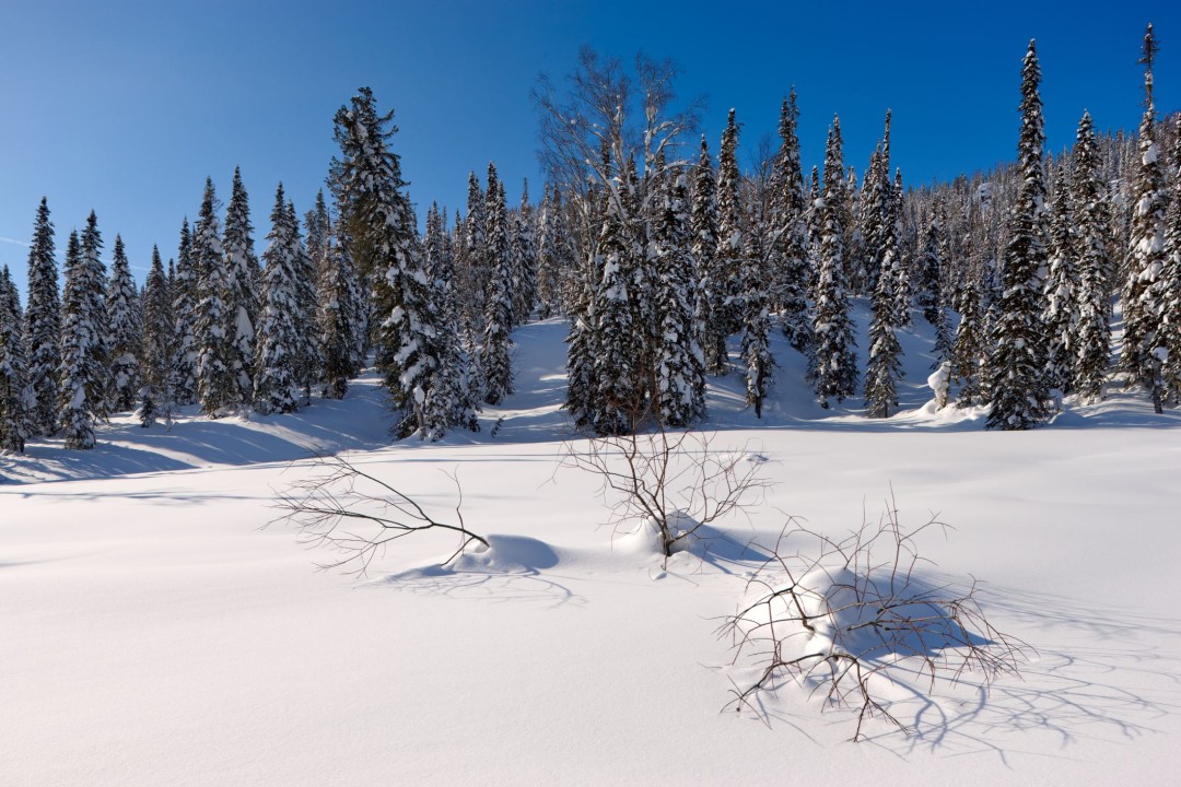 One of Russia’s Last ‘Old Believers’ Still Lives in Siberia