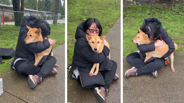Rescue dog found after 54 days in wilderness on Vancouver’s North Shore