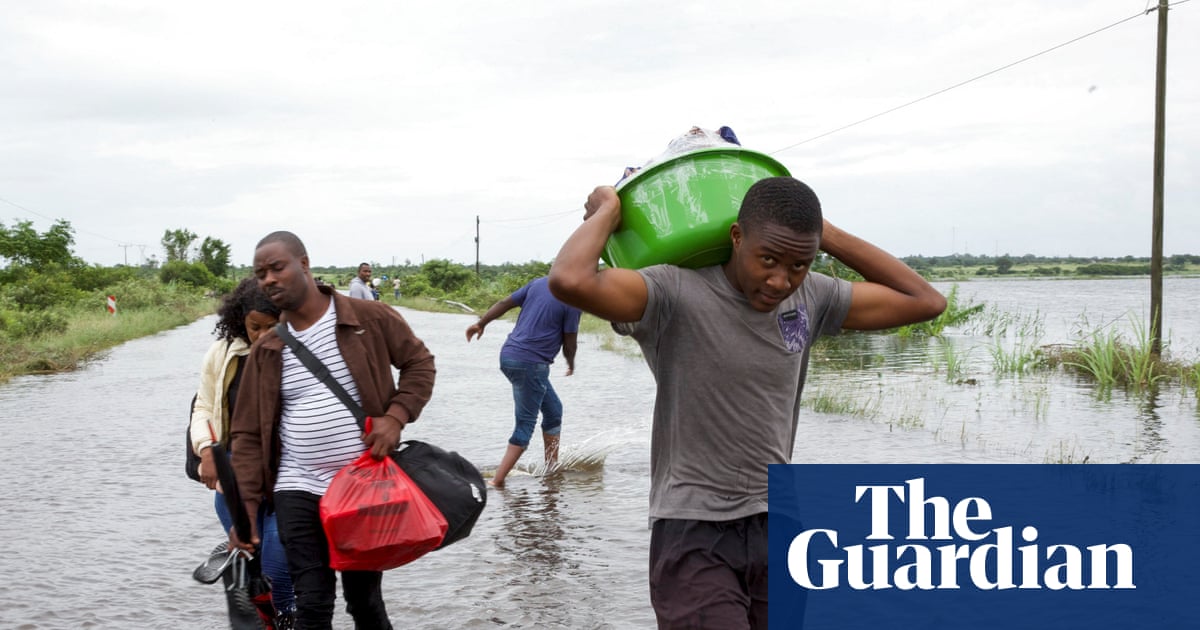 Crocodile warnings as floods devastate southern Africa | Africa