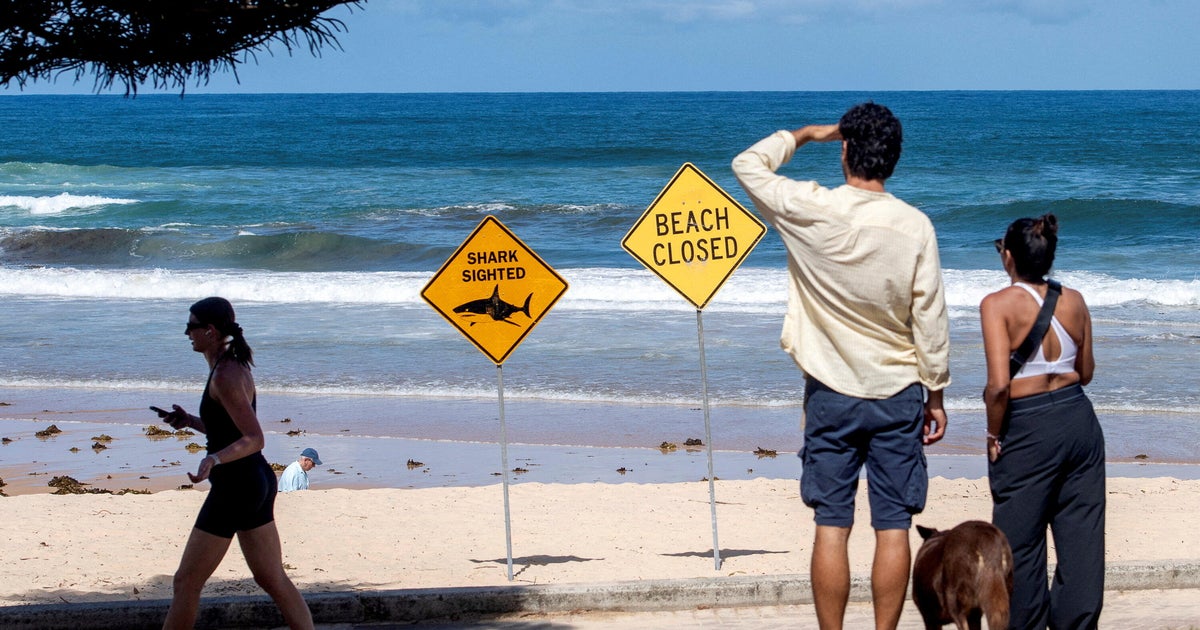 After 4 shark attacks in Australia in 3 days, beachgoers urged to “just go to a local pool”