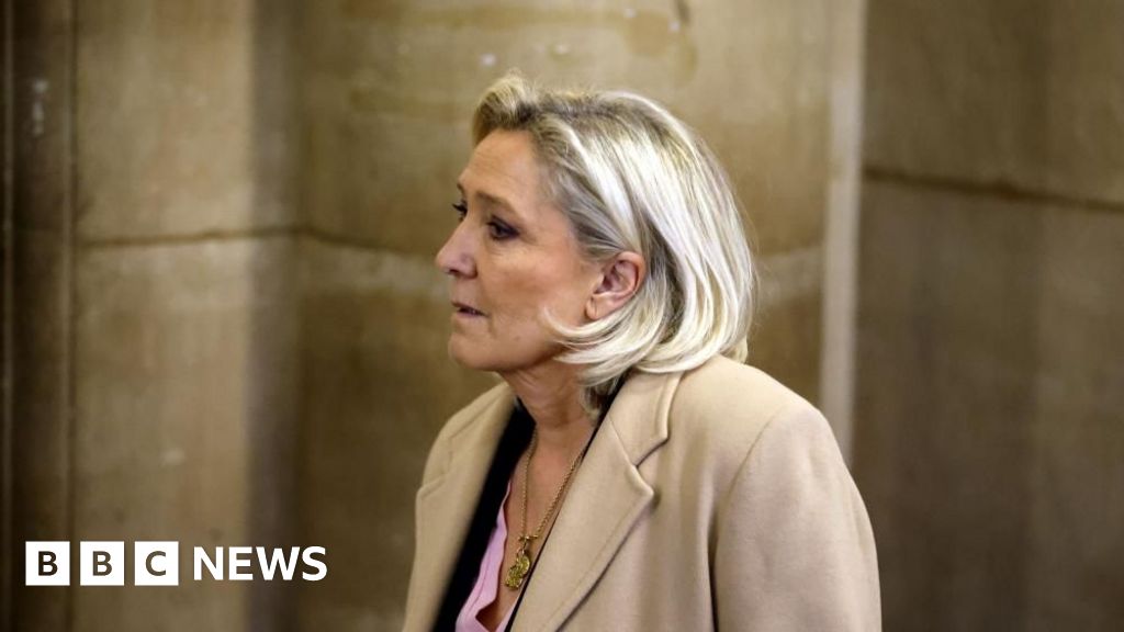 Le Pen blames European Parliament in appeal that could decide political fate