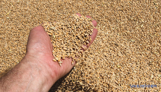 Russia exports more than 2 million tonnes of grain from occupied Ukrainian territories last year – intelligence