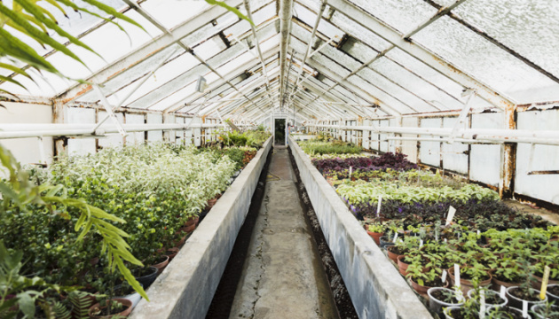 Farmers in Vinnytsia region built 13.3 ha of greenhouses using state grants