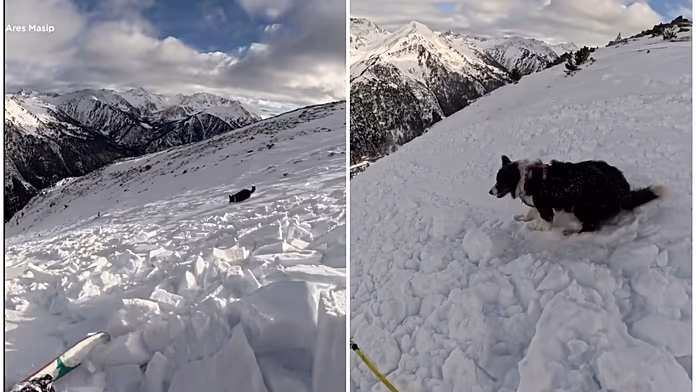 Watch: Moment skier and dog caught in avalanche