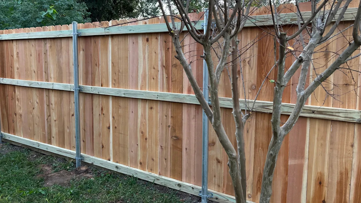 ‘Call the police and a lawyer’