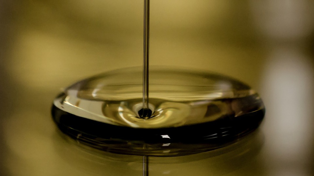 Zelenskyy calls on Europe to follow USA in stopping Russian tankers, confiscating oil