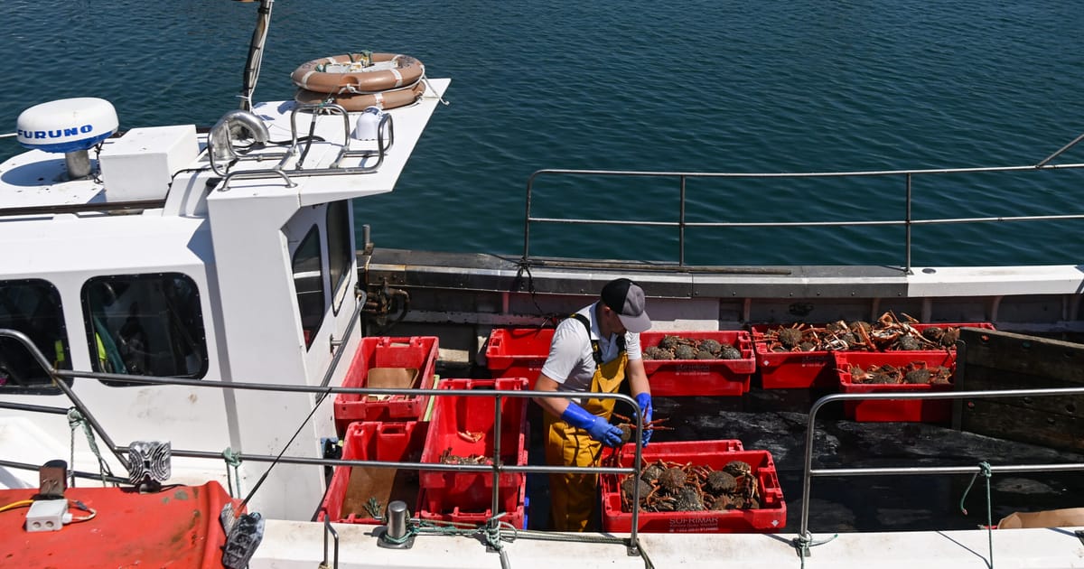 A vanishing deterrent? Europe’s fishermen patrol our waters in shrinking numbers – POLITICO