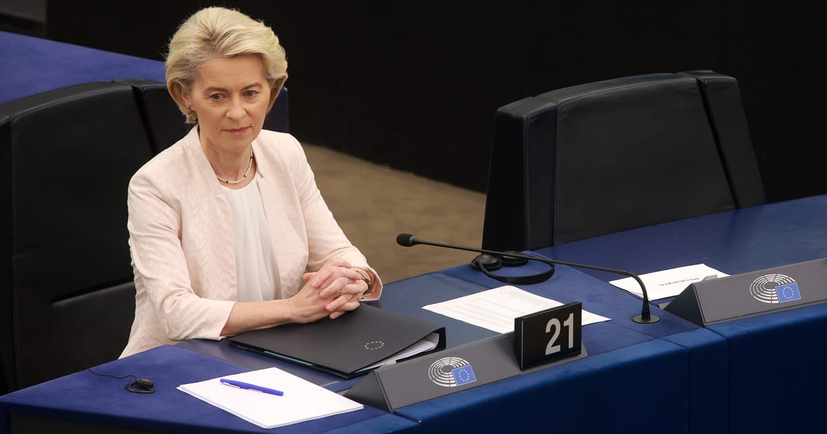 Mercosur trade deal splits EU Parliament in half – POLITICO