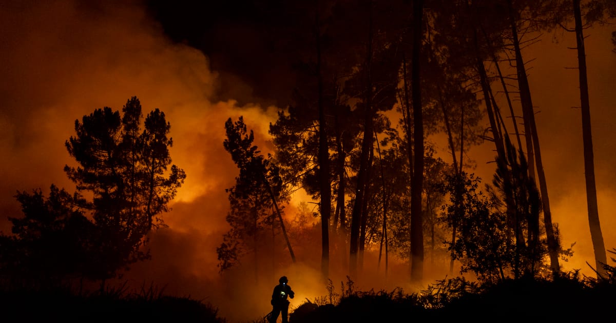 Global warming reaches 1.4C after third-hottest year on record – POLITICO