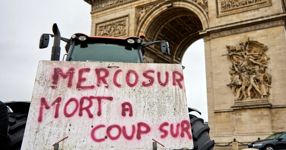 France to vote against EU-Mercosur trade deal – POLITICO